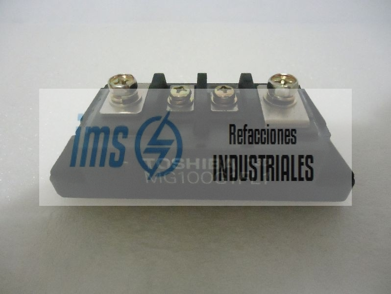 MG100G1FL1