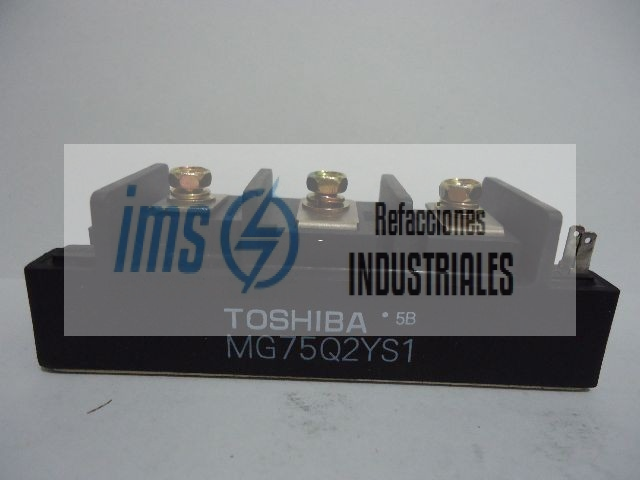 MG75Q2YS1