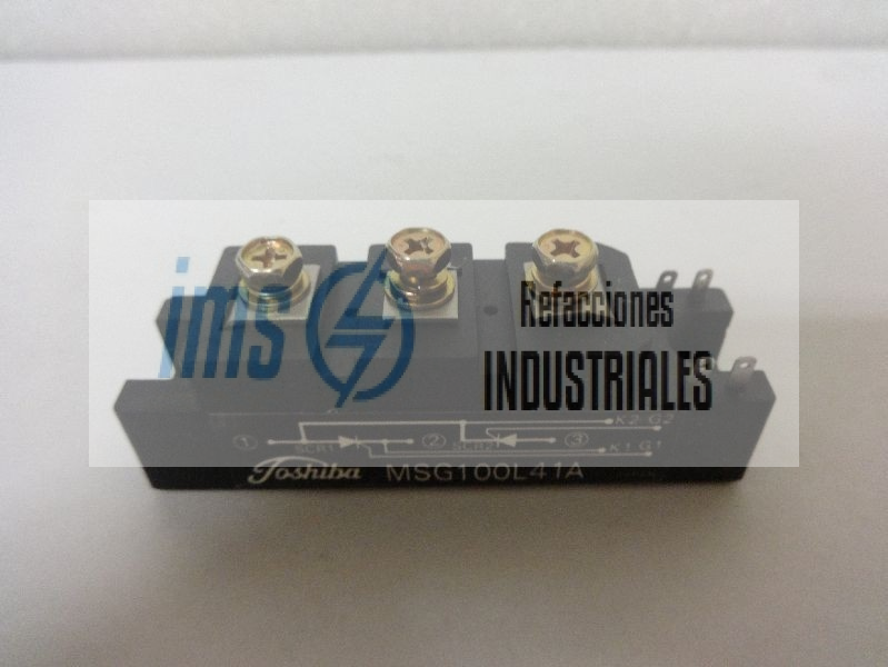 MSG100L41A