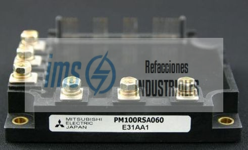 PM100RSA060