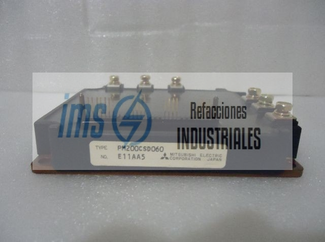 PM200CSD060