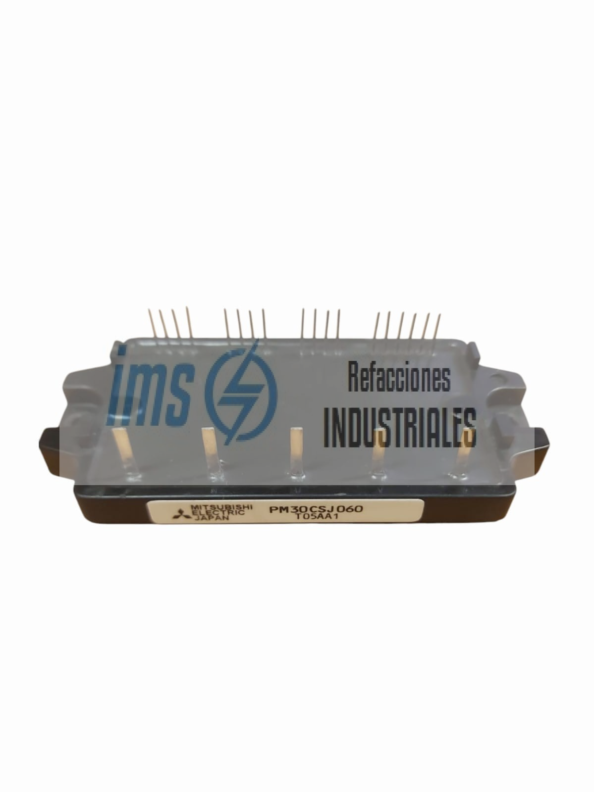 PM30CSJ060