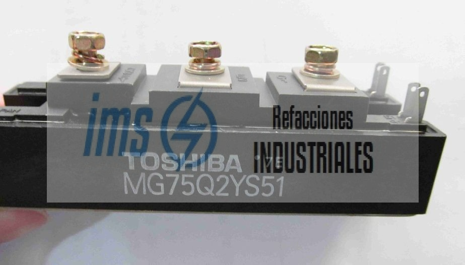 MG75Q2YS51