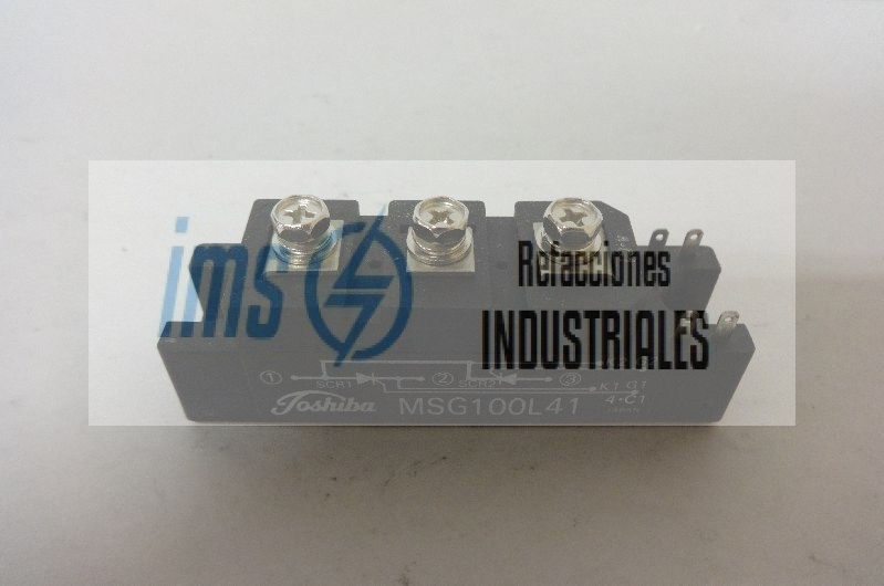 MSG100L41