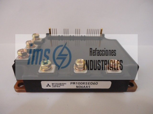 PM100RSE060