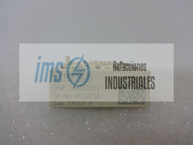 SKIIP13NAB065V1