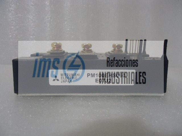 PM100EHS060