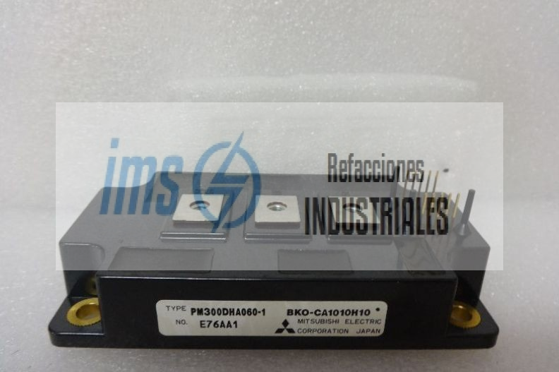 PM300DHA060-1