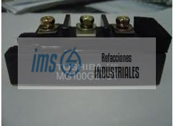 MG100G2YS1