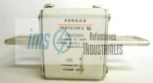 M300690