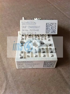 SKIIP12NAB066V1