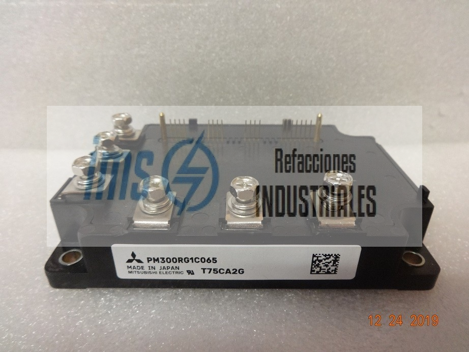 PM300RG1C065